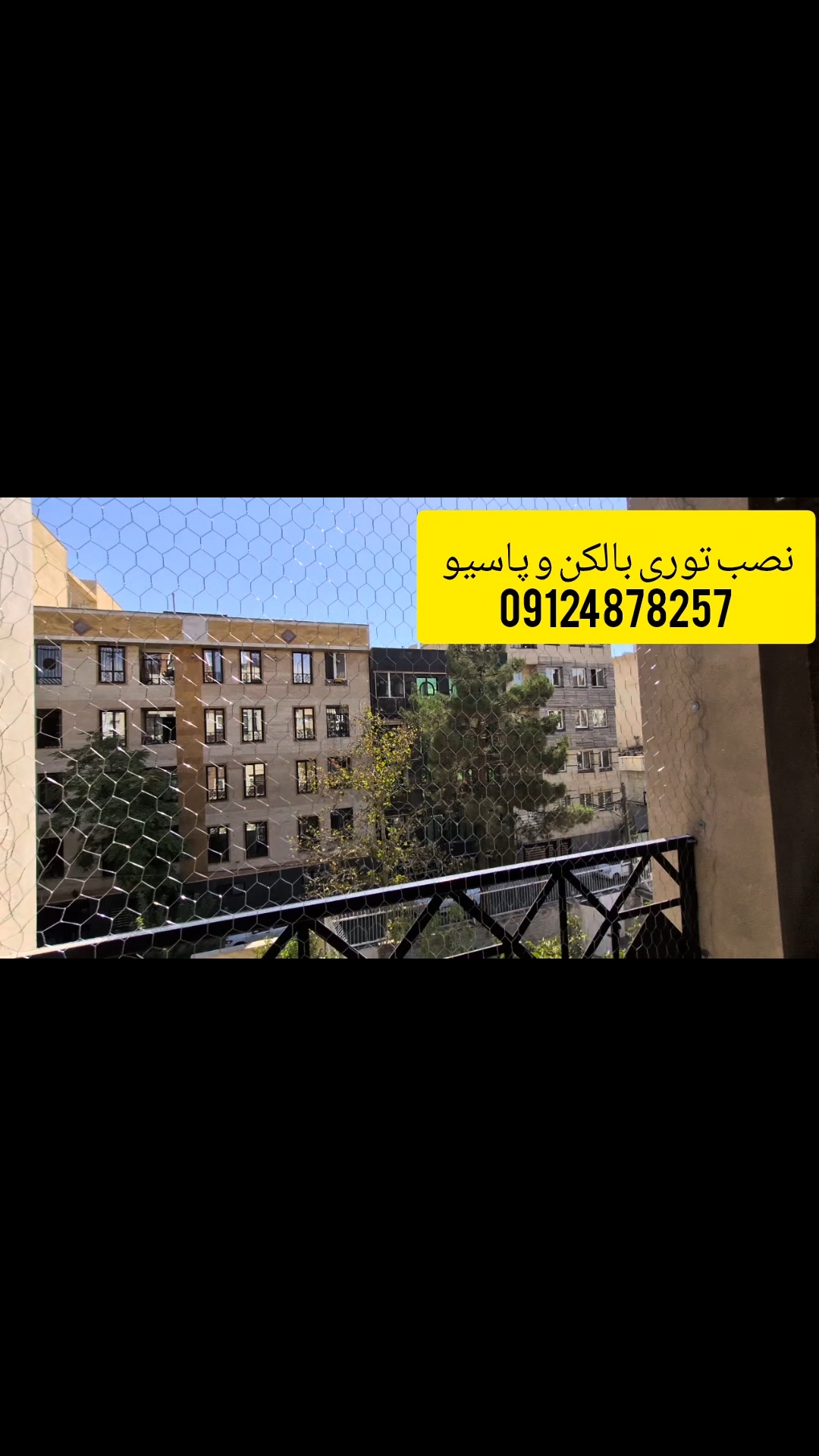 از دست کبوترها چیکار کنم؟خسته شدم